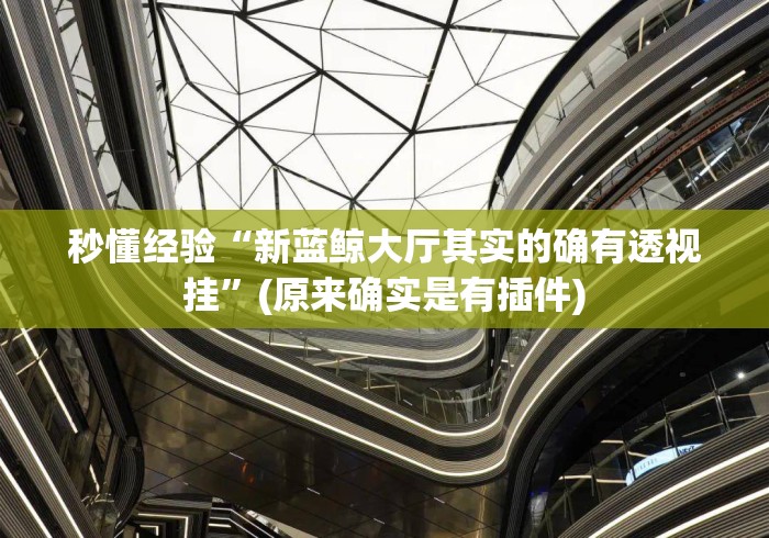 秒懂经验“新蓝鲸大厅其实的确有透视挂”(原来确实是有插件)