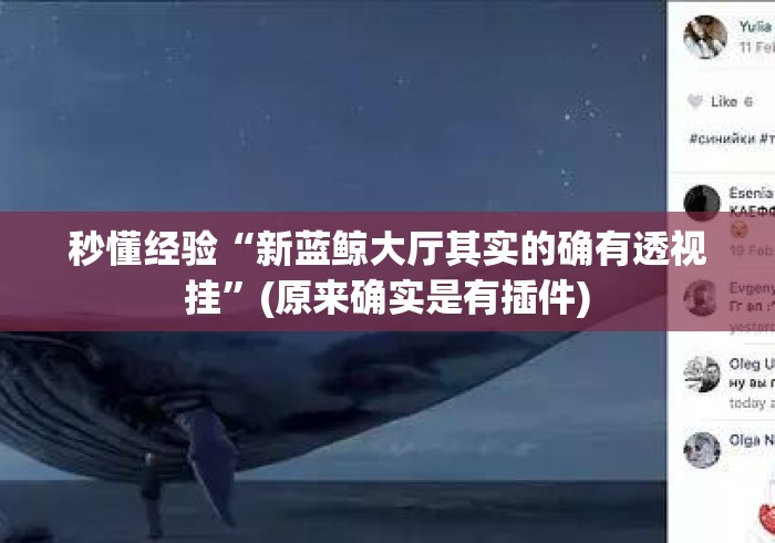 秒懂经验“新蓝鲸大厅其实的确有透视挂”(原来确实是有插件)