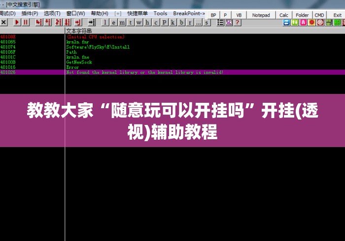 教教大家“随意玩可以开挂吗	”开挂(透视)辅助教程