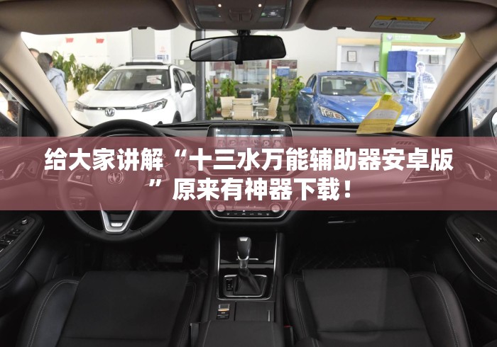 给大家讲解“十三水万能辅助器安卓版”原来有神器下载！