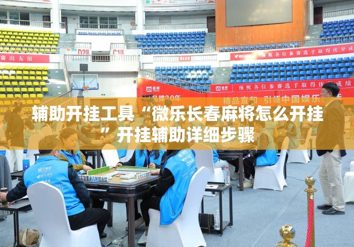辅助开挂工具“微乐长春麻将怎么开挂”开挂辅助详细步骤