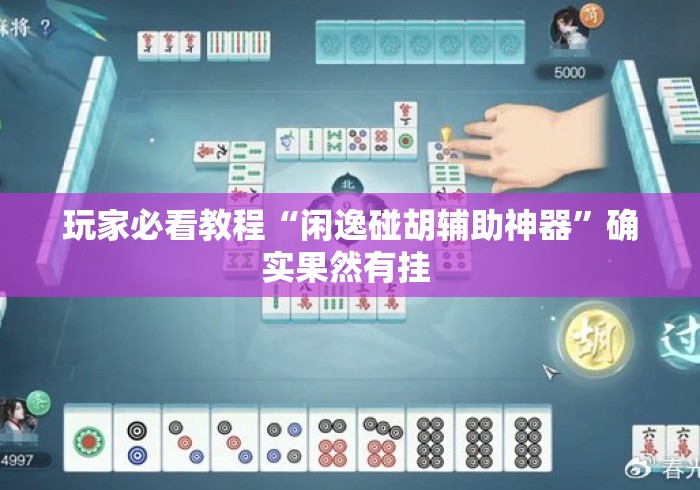 玩家必看教程“闲逸碰胡辅助神器”确实果然有挂 