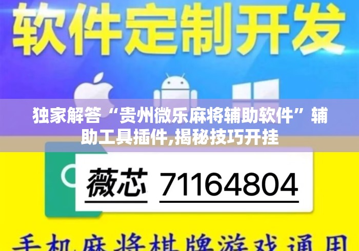 独家解答“贵州微乐麻将辅助软件”辅助工具插件,揭秘技巧开挂