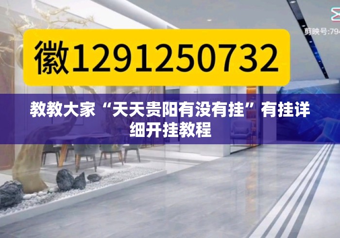 教教大家“天天贵阳有没有挂”有挂详细开挂教程