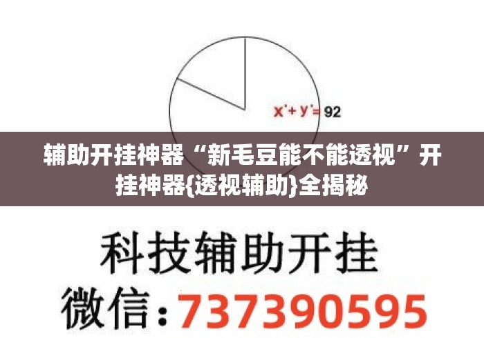 辅助开挂神器“新毛豆能不能透视”开挂神器{透视辅助}全揭秘