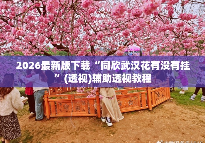 2026最新版下载“同欣武汉花有没有挂”(透视)辅助透视教程