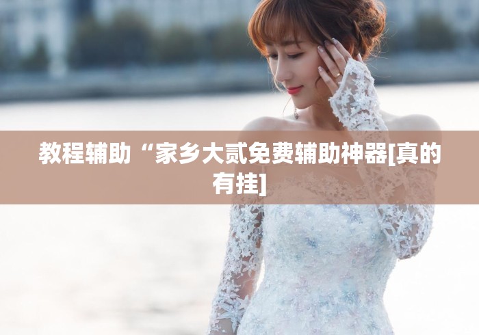 教程辅助“家乡大贰免费辅助神器[真的有挂]