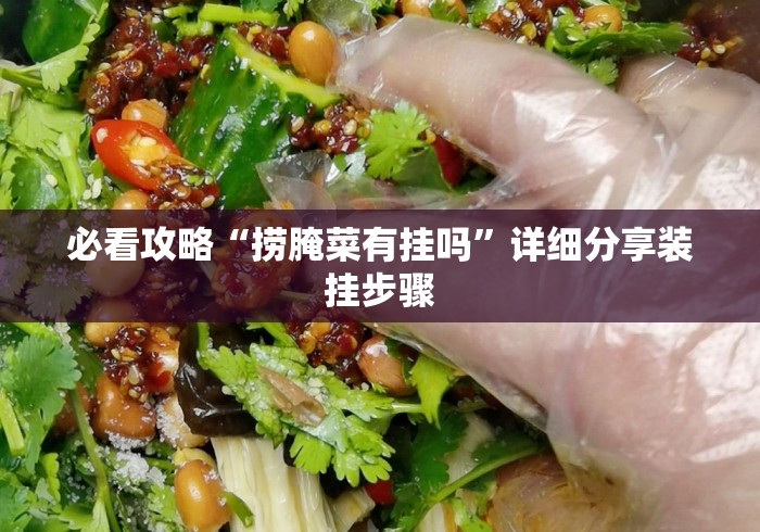 必看攻略“捞腌菜有挂吗”详细分享装挂步骤