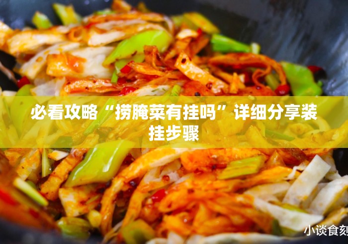 必看攻略“捞腌菜有挂吗”详细分享装挂步骤