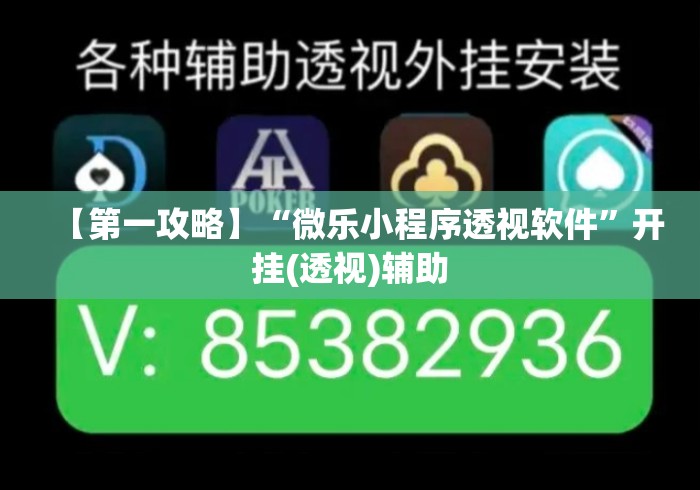 【第一攻略】“微乐小程序透视软件”开挂(透视)辅助