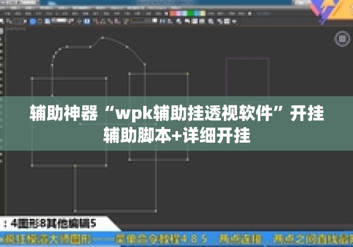 辅助神器“wpk辅助挂透视软件”开挂辅助脚本+详细开挂