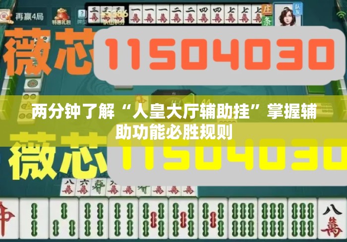 两分钟了解“人皇大厅辅助挂”掌握辅助功能必胜规则