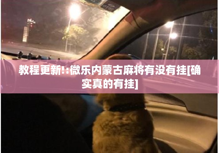 教程更新!:微乐内蒙古麻将有没有挂[确实真的有挂]