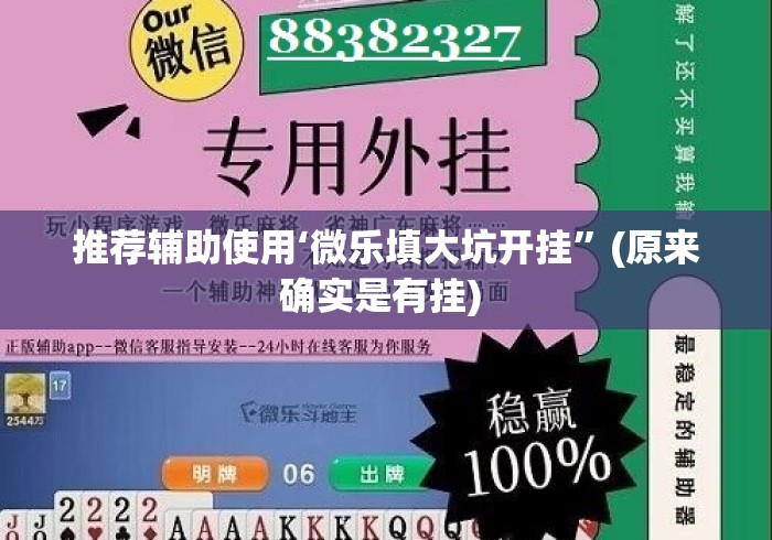 推荐辅助使用‘微乐填大坑开挂”(原来确实是有挂) 