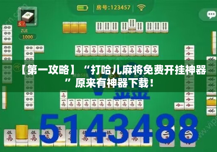 【第一攻略】“打哈儿麻将免费开挂神器”原来有神器下载！