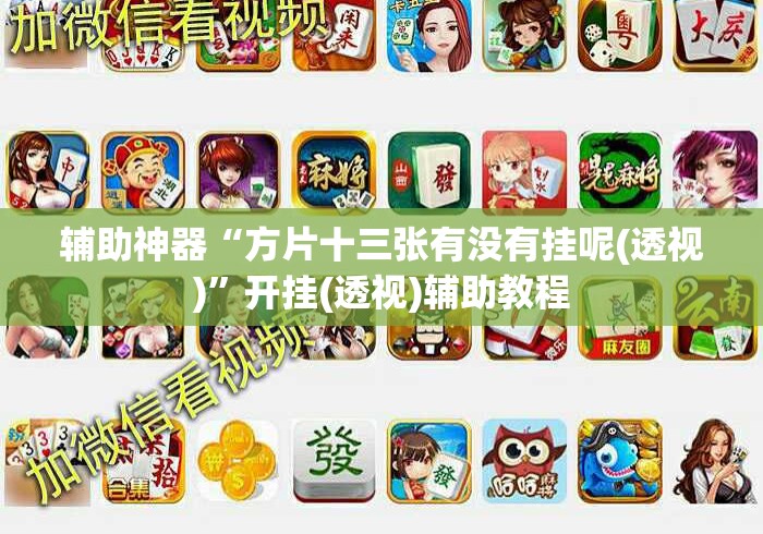 辅助神器“方片十三张有没有挂呢(透视)”开挂(透视)辅助教程