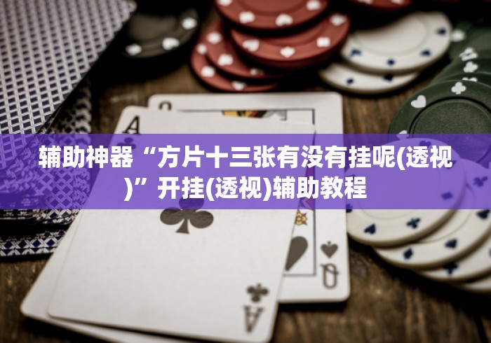 辅助神器“方片十三张有没有挂呢(透视)”开挂(透视)辅助教程