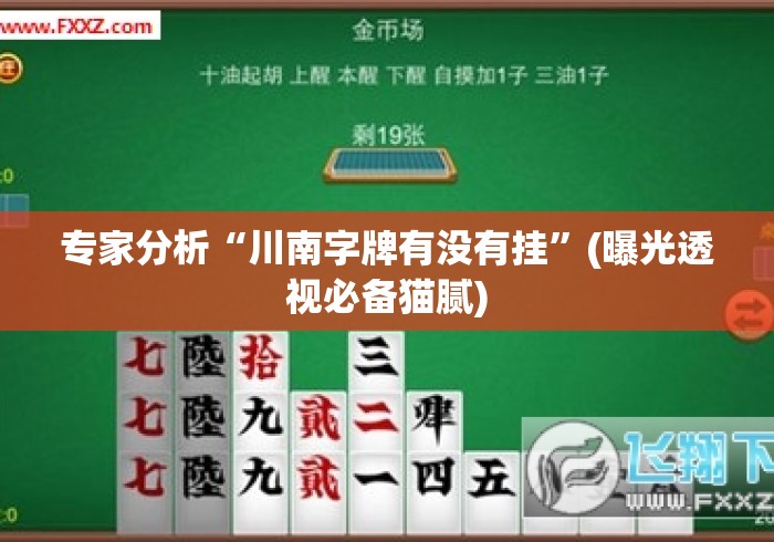 专家分析“川南字牌有没有挂”(曝光透视必备猫腻)