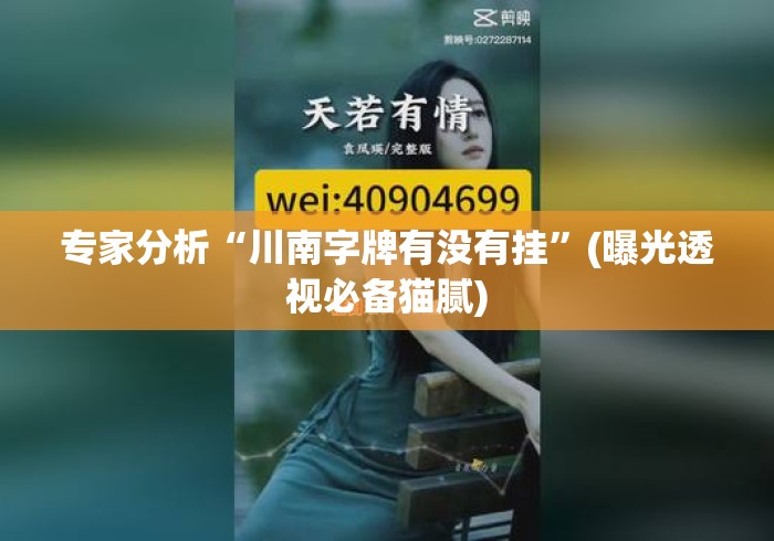专家分析“川南字牌有没有挂”(曝光透视必备猫腻)