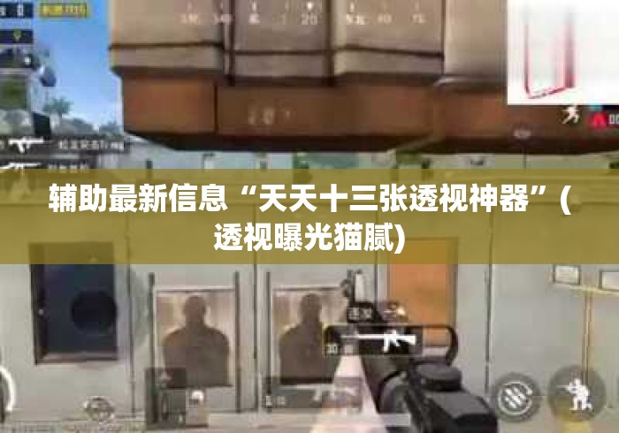 辅助最新信息“天天十三张透视神器	”(透视曝光猫腻)