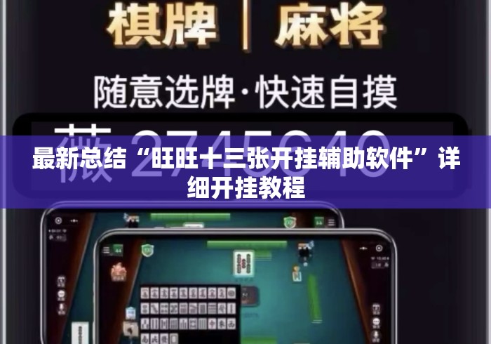 最新总结“旺旺十三张开挂辅助软件	”详细开挂教程