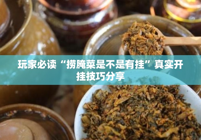 玩家必读“捞腌菜是不是有挂”真实开挂技巧分享
