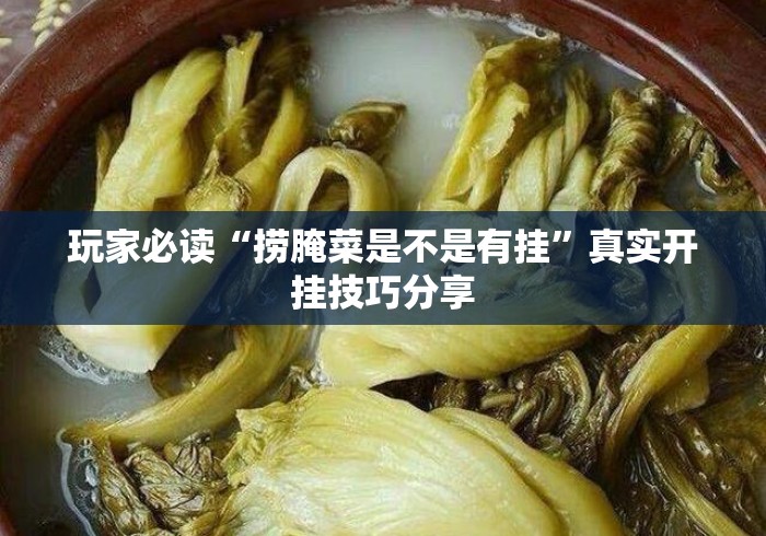 玩家必读“捞腌菜是不是有挂”真实开挂技巧分享