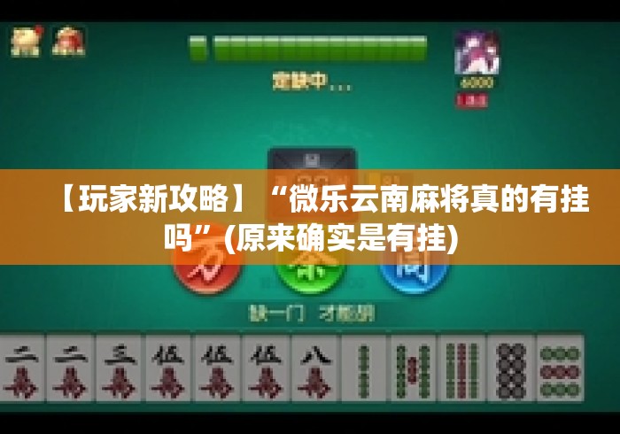 【玩家新攻略】“微乐云南麻将真的有挂吗”(原来确实是有挂)