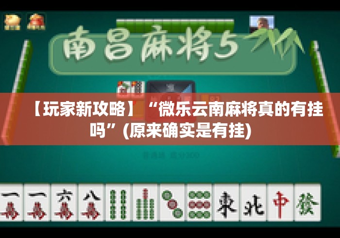 【玩家新攻略】“微乐云南麻将真的有挂吗”(原来确实是有挂)