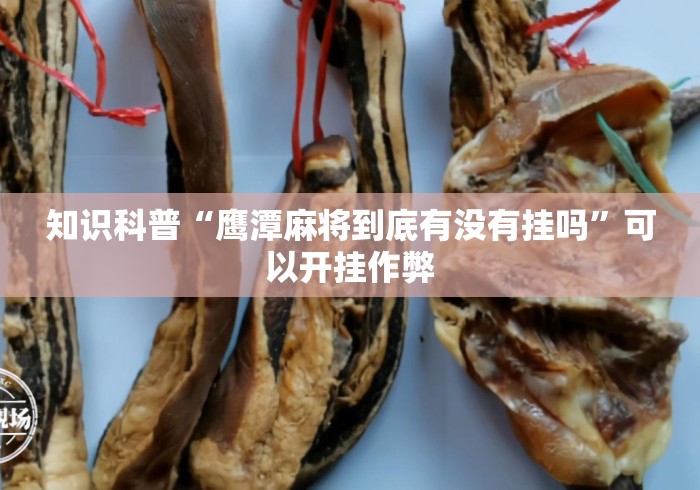 知识科普“鹰潭麻将到底有没有挂吗	”可以开挂作弊