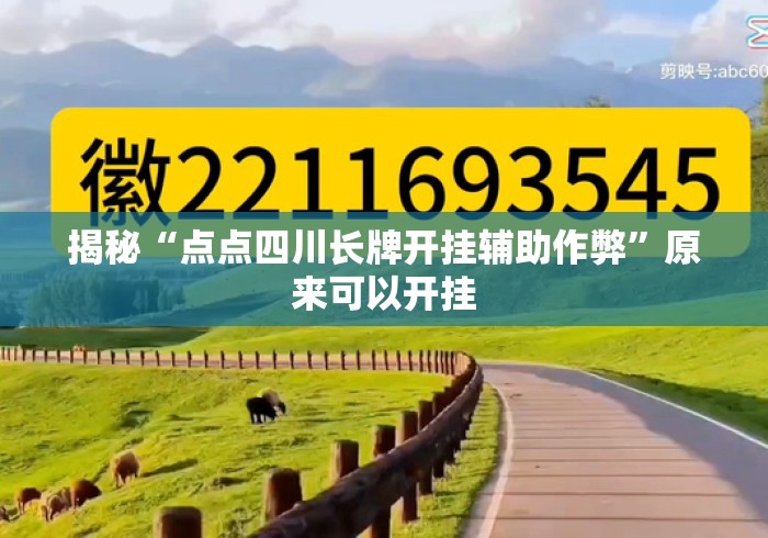揭秘“点点四川长牌开挂辅助作弊”原来可以开挂