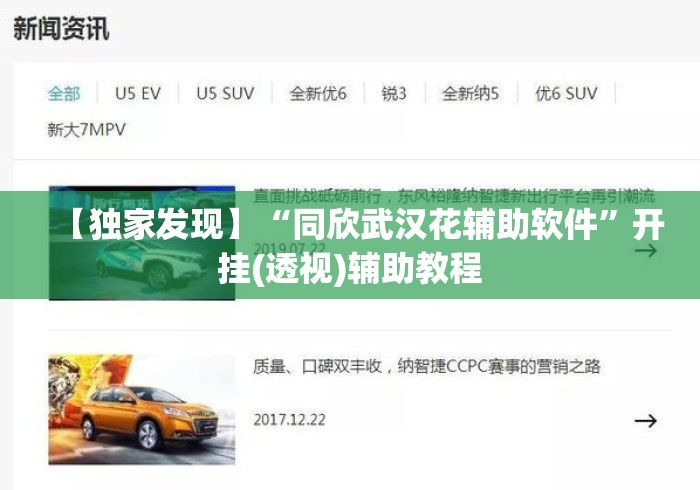 【独家发现】“同欣武汉花辅助软件”开挂(透视)辅助教程