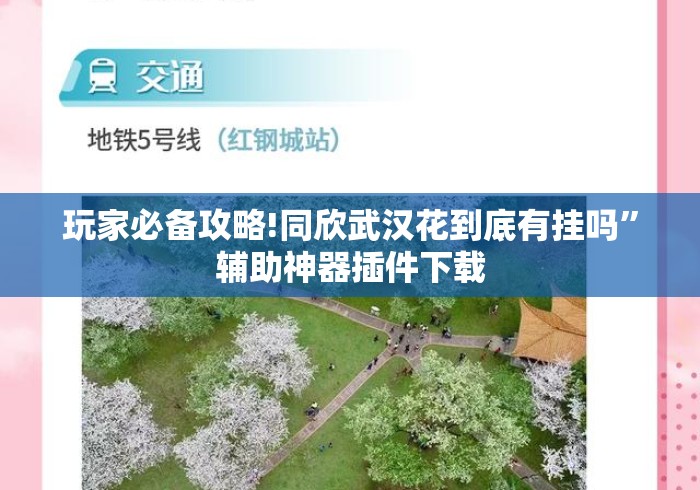 玩家必备攻略!同欣武汉花到底有挂吗	”辅助神器插件下载