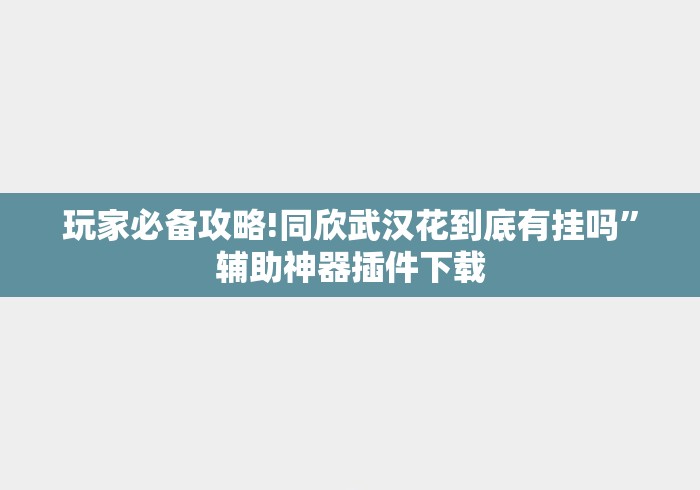 玩家必备攻略!同欣武汉花到底有挂吗”辅助神器插件下载