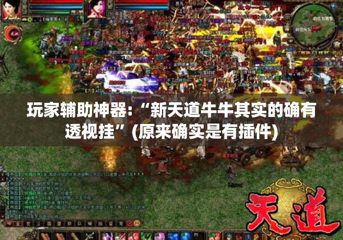 玩家辅助神器:“新天道牛牛其实的确有透视挂”(原来确实是有插件)