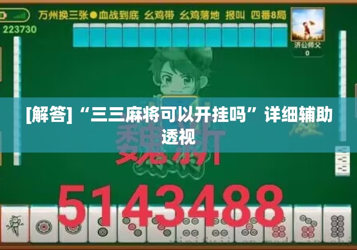 [解答]“三三麻将可以开挂吗”详细辅助透视