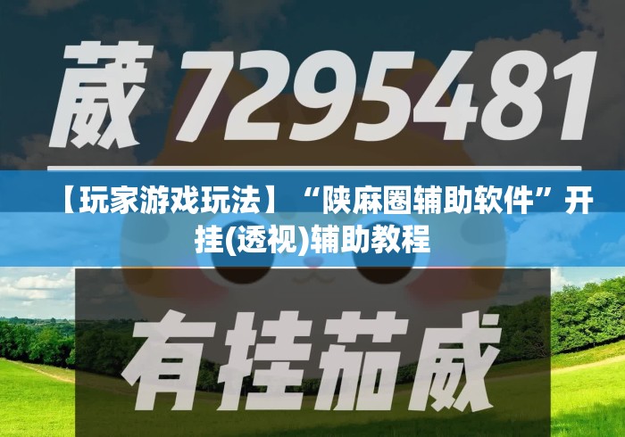 【玩家游戏玩法】“陕麻圈辅助软件	”开挂(透视)辅助教程