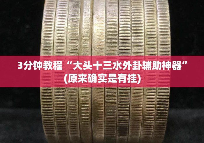 3分钟教程“大头十三水外卦辅助神器”(原来确实是有挂)