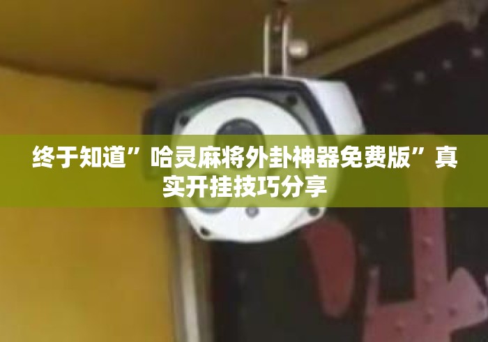 终于知道”哈灵麻将外卦神器免费版”真实开挂技巧分享