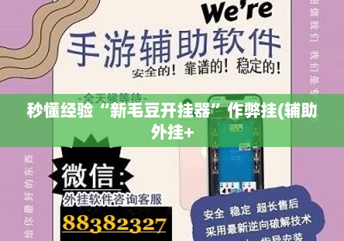 秒懂经验“新毛豆开挂器”作弊挂(辅助外挂+