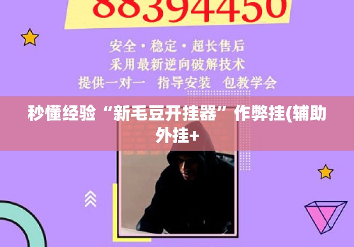 秒懂经验“新毛豆开挂器”作弊挂(辅助外挂+