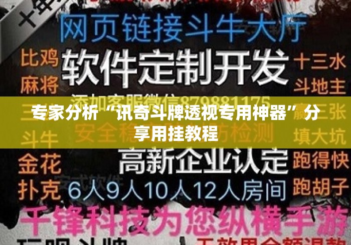 专家分析“讯奇斗牌透视专用神器	”分享用挂教程