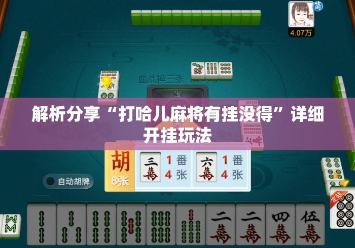 解析分享“打哈儿麻将有挂没得	”详细开挂玩法