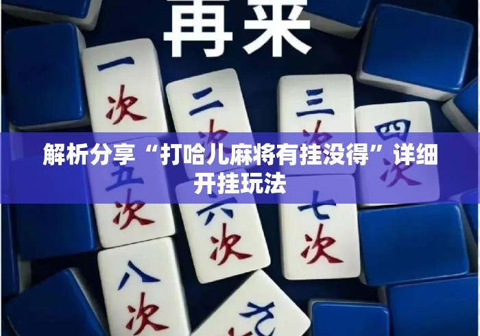 解析分享“打哈儿麻将有挂没得”详细开挂玩法