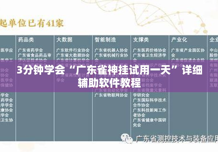 3分钟学会“广东雀神挂试用一天	”详细辅助软件教程