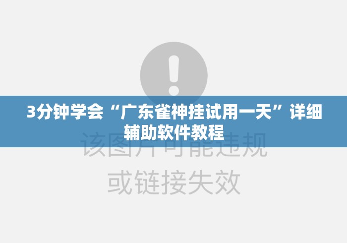 3分钟学会“广东雀神挂试用一天”详细辅助软件教程