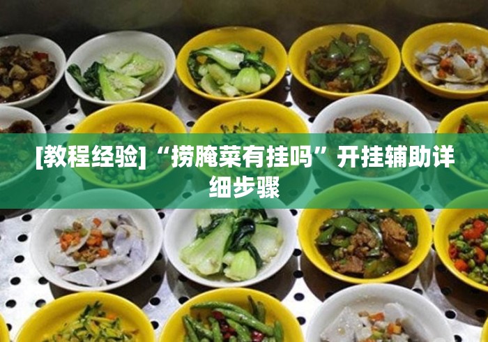 [教程经验]“捞腌菜有挂吗”开挂辅助详细步骤