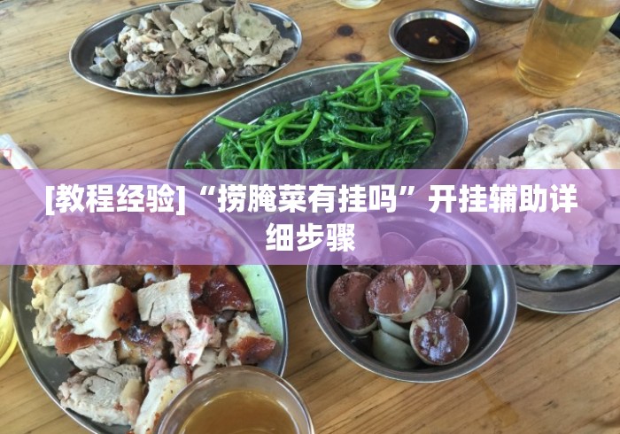 [教程经验]“捞腌菜有挂吗”开挂辅助详细步骤