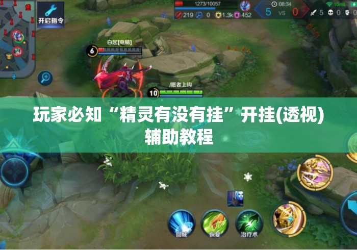 玩家必知“精灵有没有挂”开挂(透视)辅助教程
