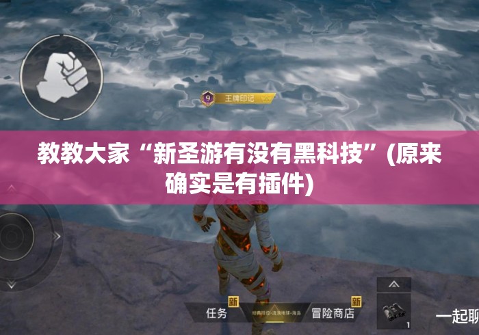 教教大家“新圣游有没有黑科技”(原来确实是有插件)